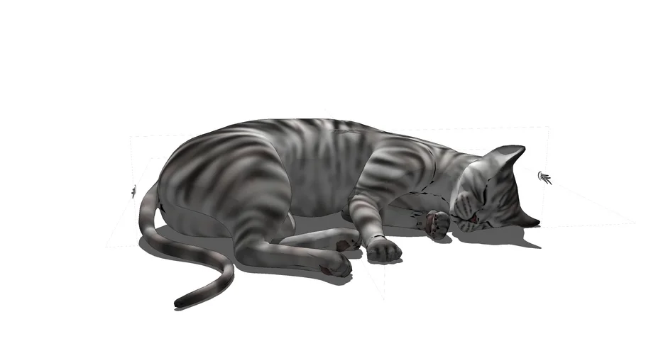 Gato
