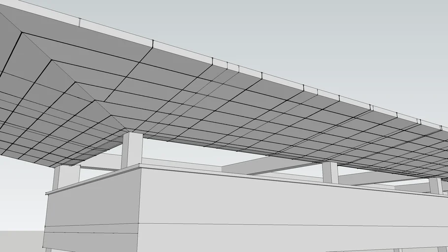 Acp Canopy