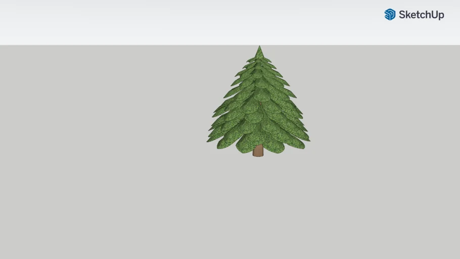 Pine tree