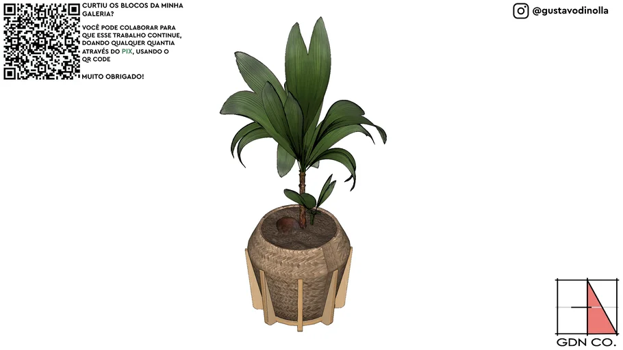 VEGETAÇÃO, PLANTAII