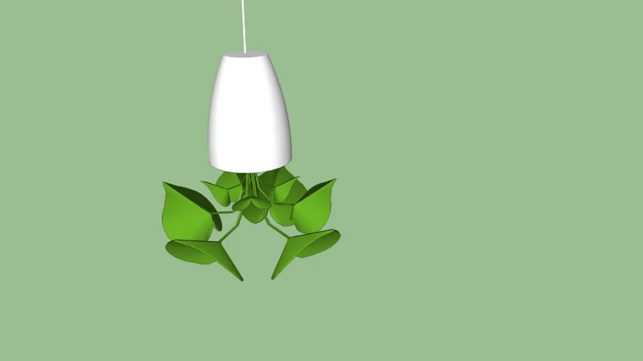 PLANTA COLGANTE