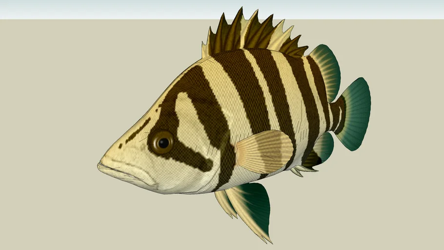 Tigerfisch