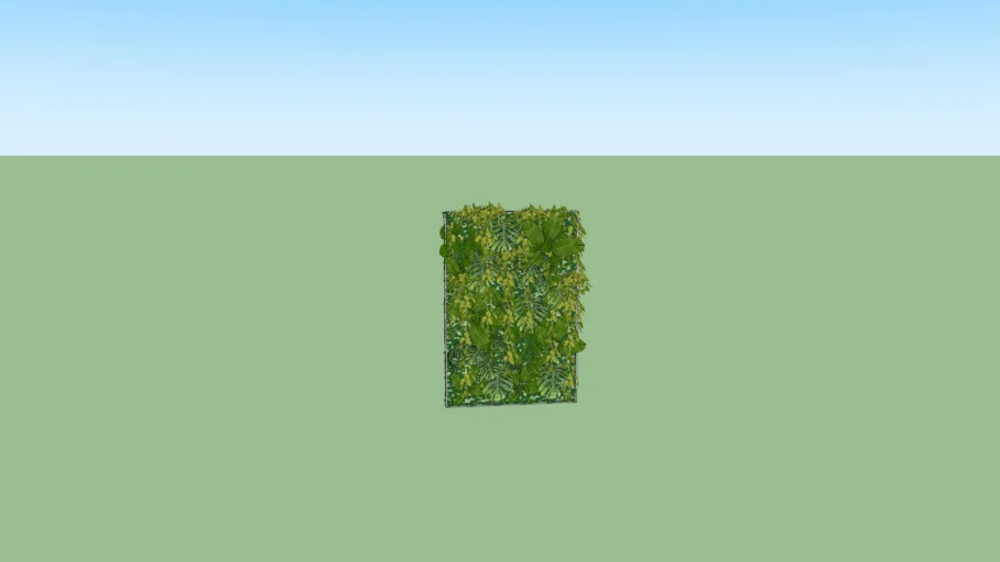 Garden Wall Plant