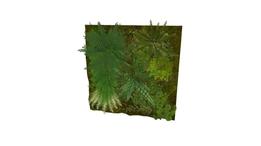 Mur végétal Tropical