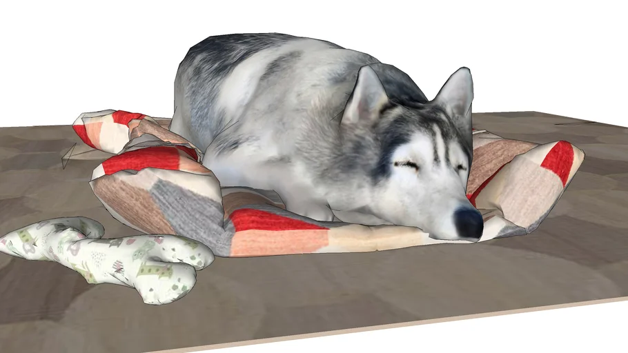 Husky Model