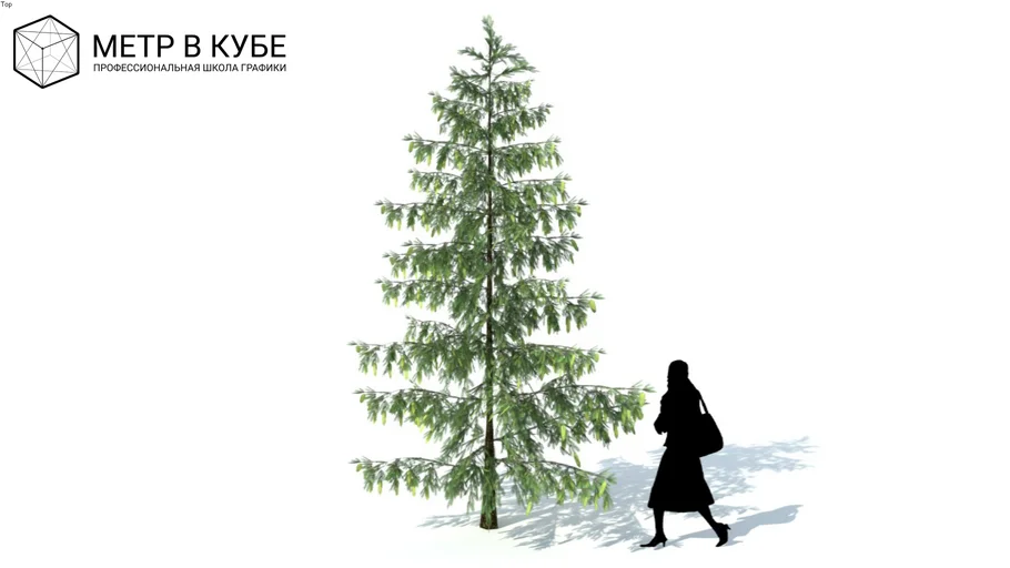 Low poly 3d conifer tree (051)