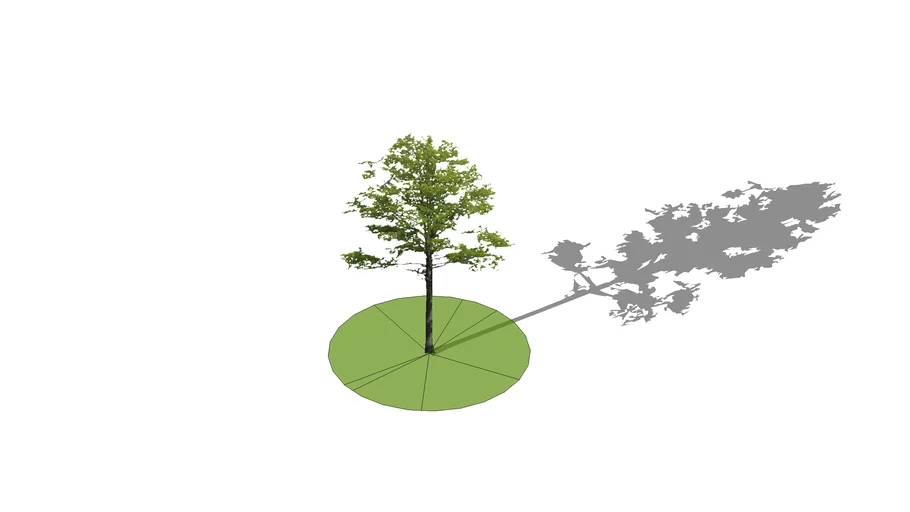 Tree for architecture concept