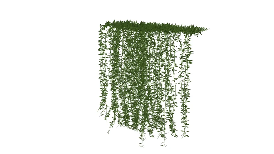 VIIC TREE 5 | 3D Warehouse