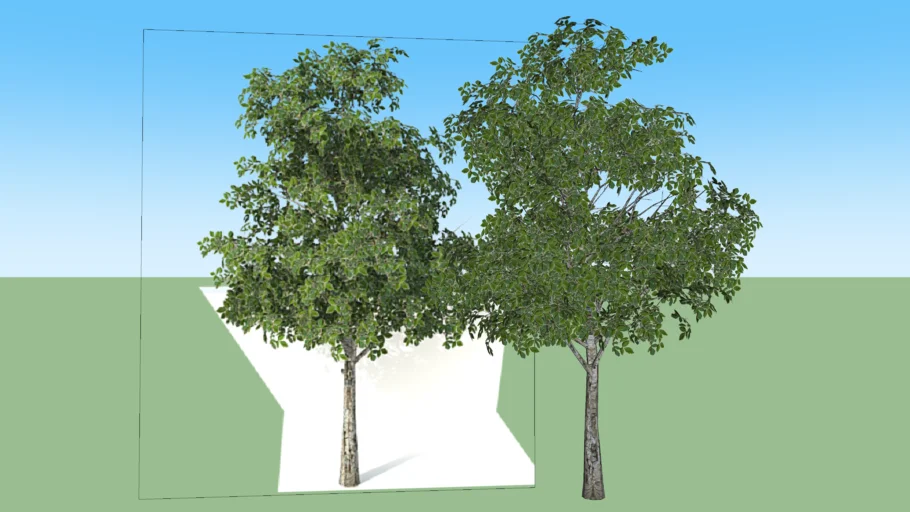 smart tree modified