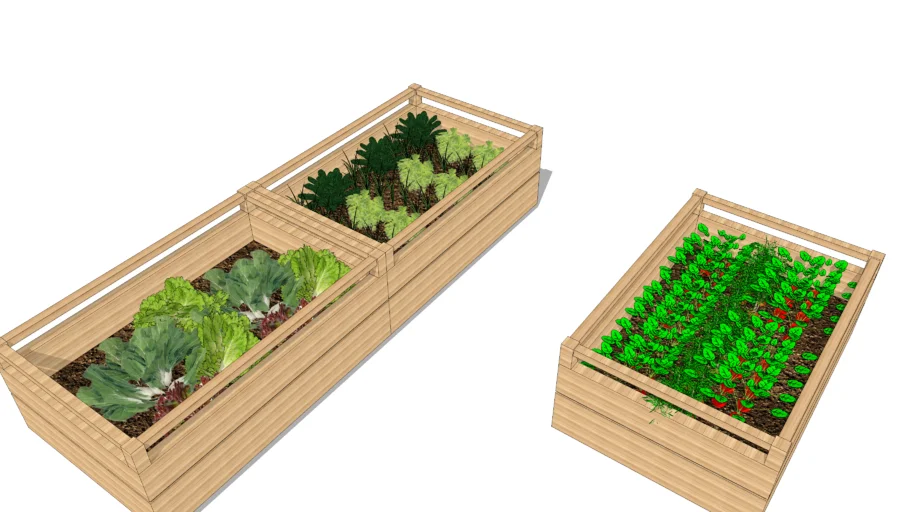 Plants + palets