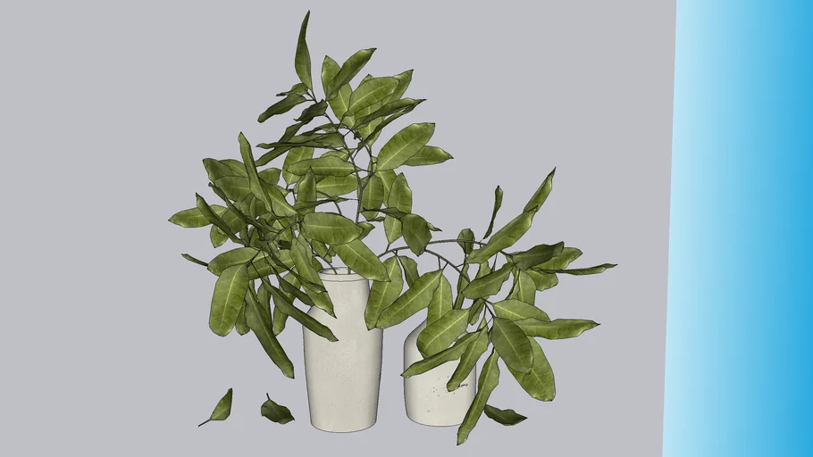 plant 57