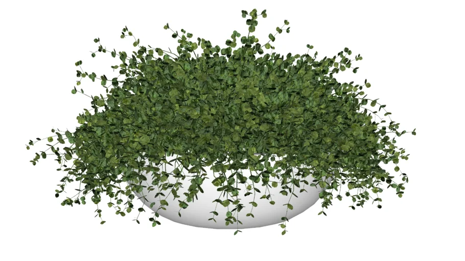 VASO PLANTA