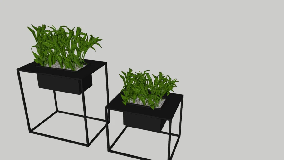 DECORATIVE PLANT