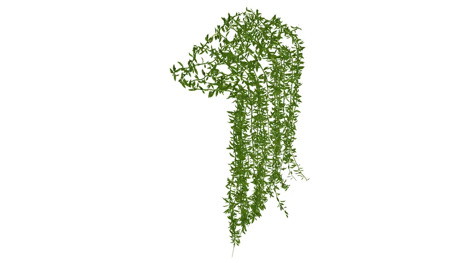 climbing plant | 3D Warehouse