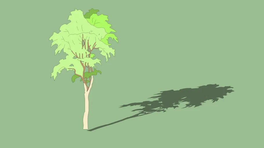 2d Silver Birch Tree