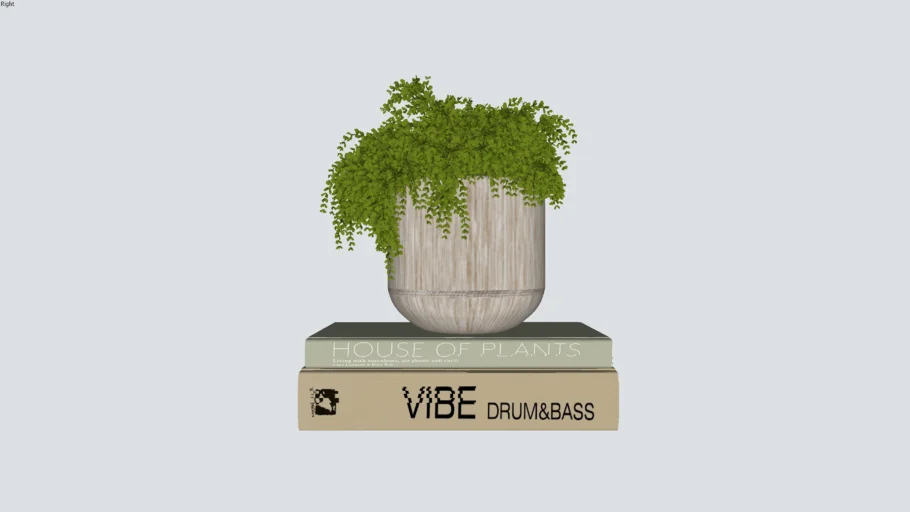 PLANTINHA