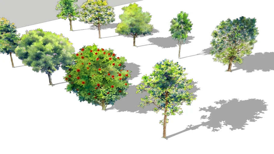painting 2D TREE