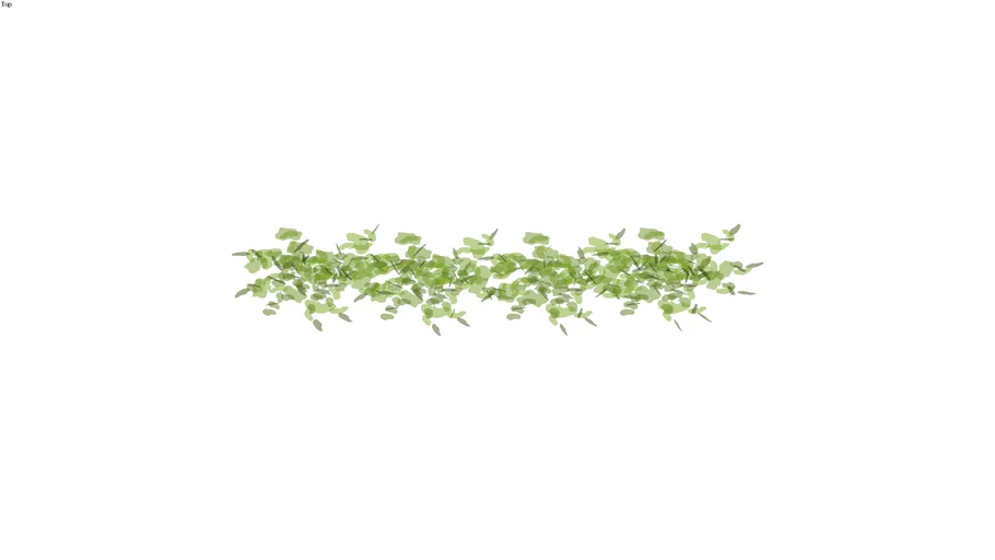 2D klimplant / klimop / climbing plant