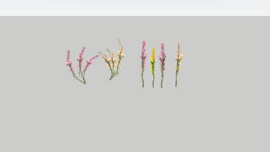 tuberose snapdragon flower