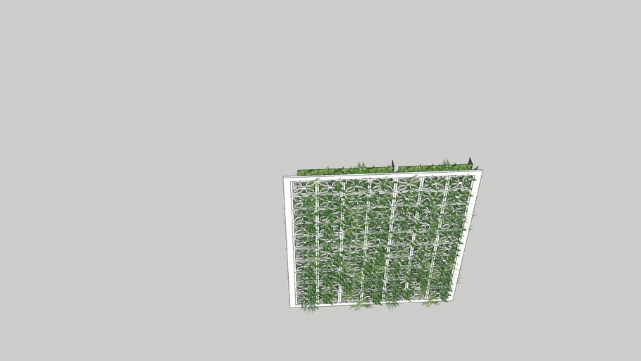 grass wall- 202