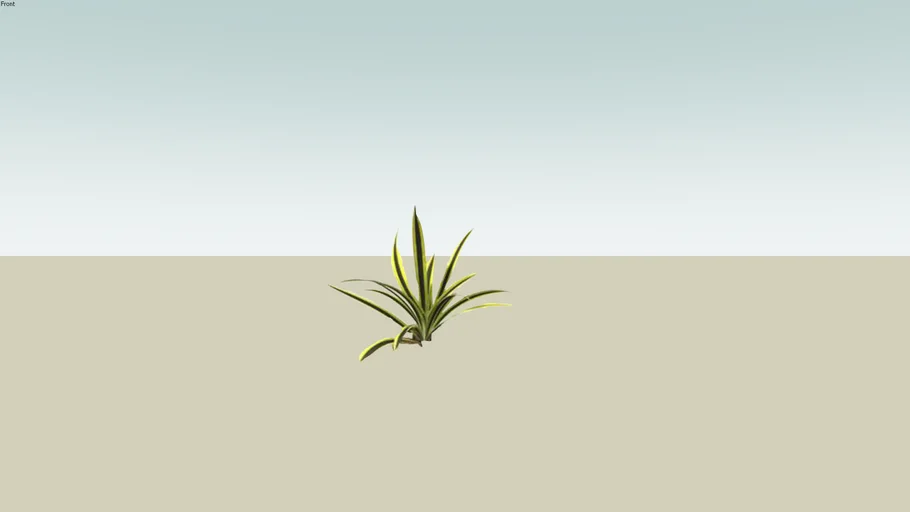 2d plant