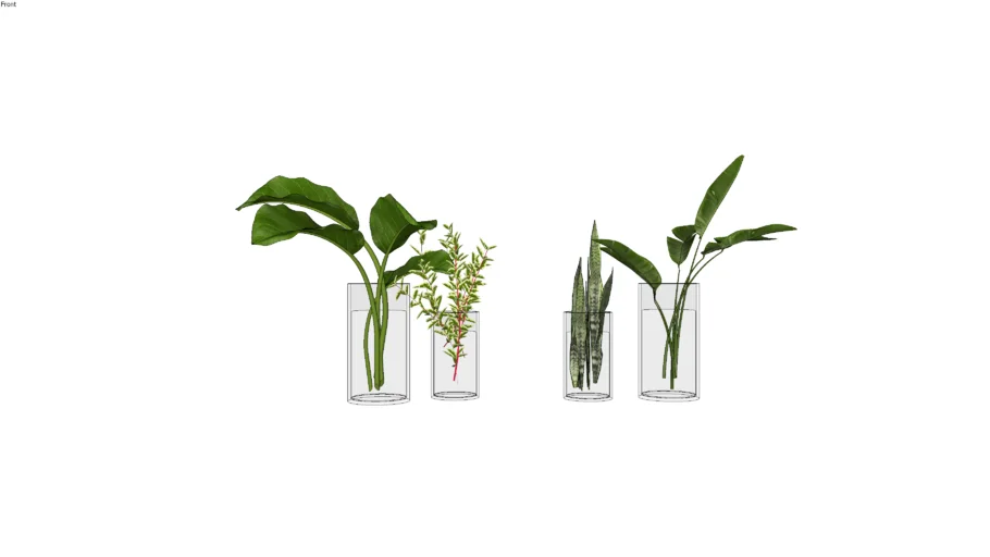 vasos