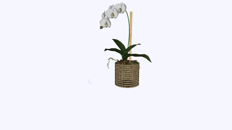 arranjo orquídea