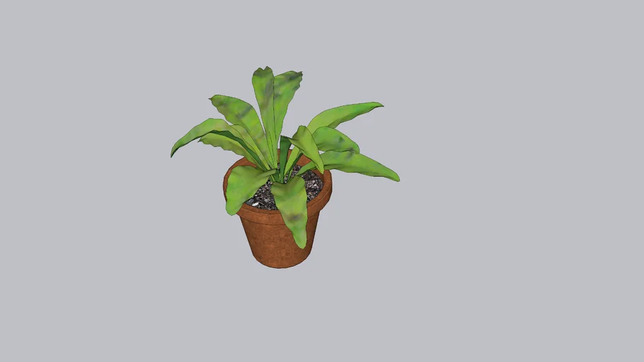 IKEA HIMALAYAMIX Potted plant