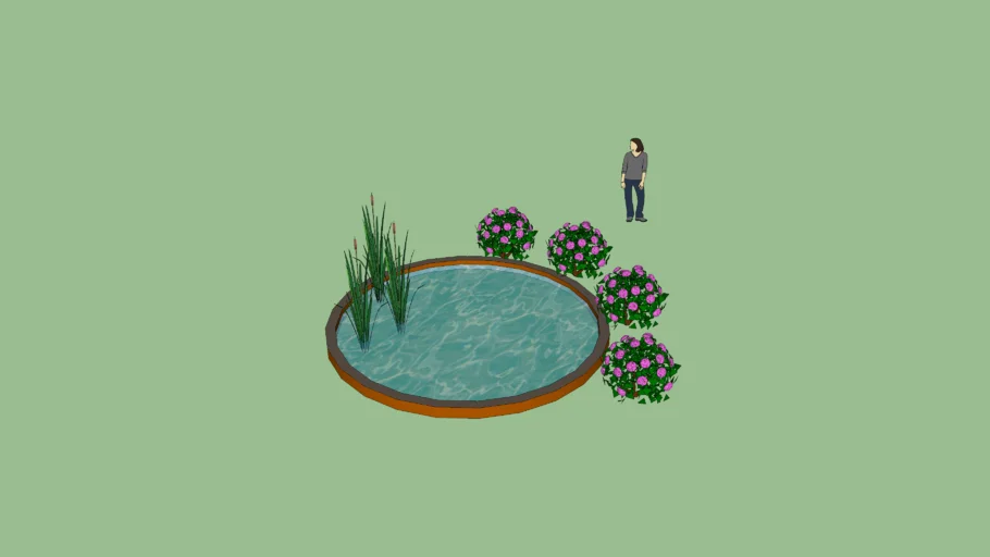 pond
