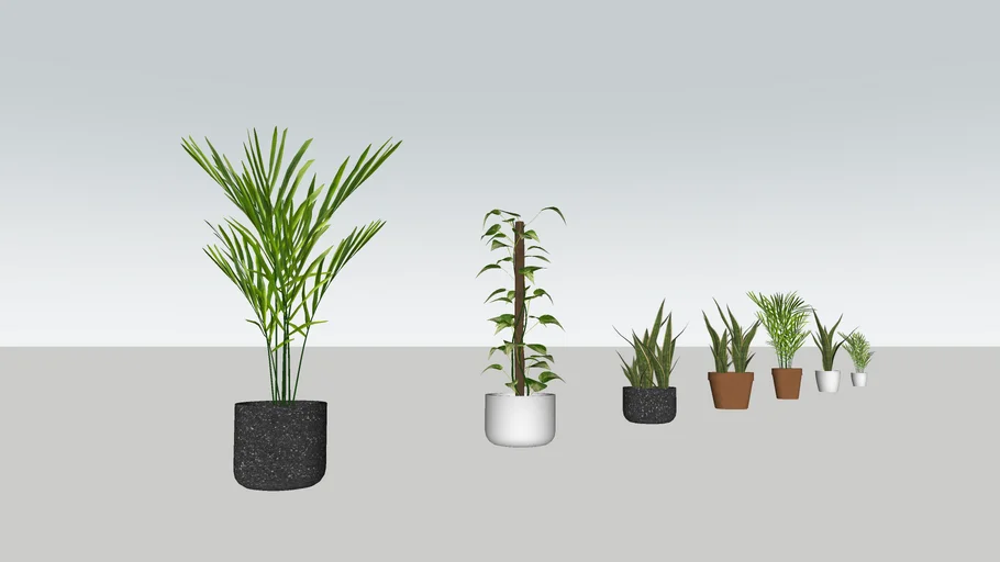 shapespark low poly interior plants kitskp - Model - 3D Warehouse