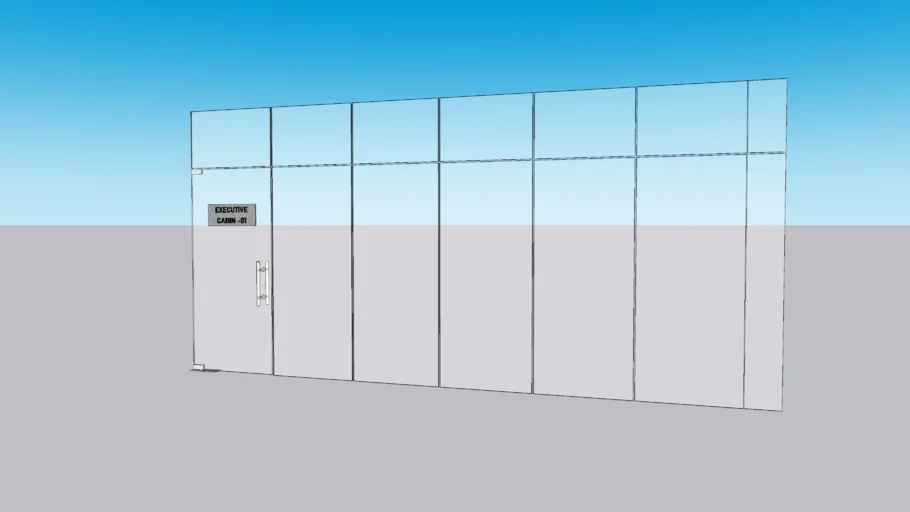 Glass partition and door