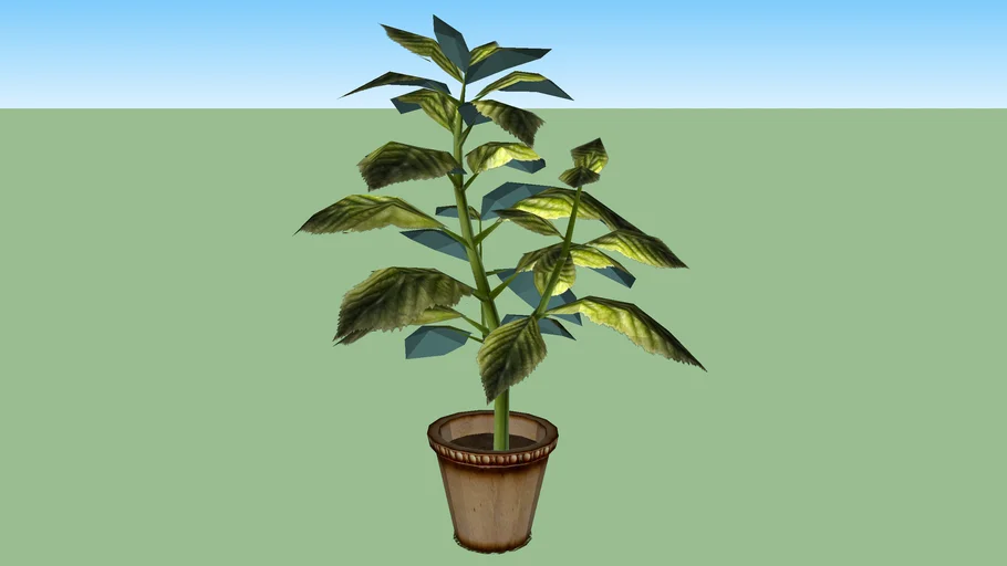 Plant