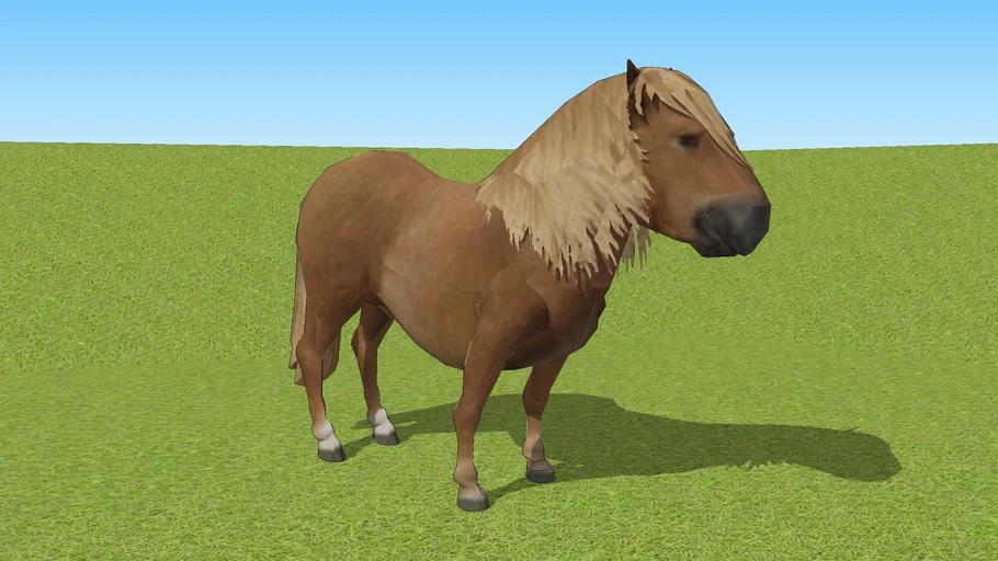 CAVALLO PONY