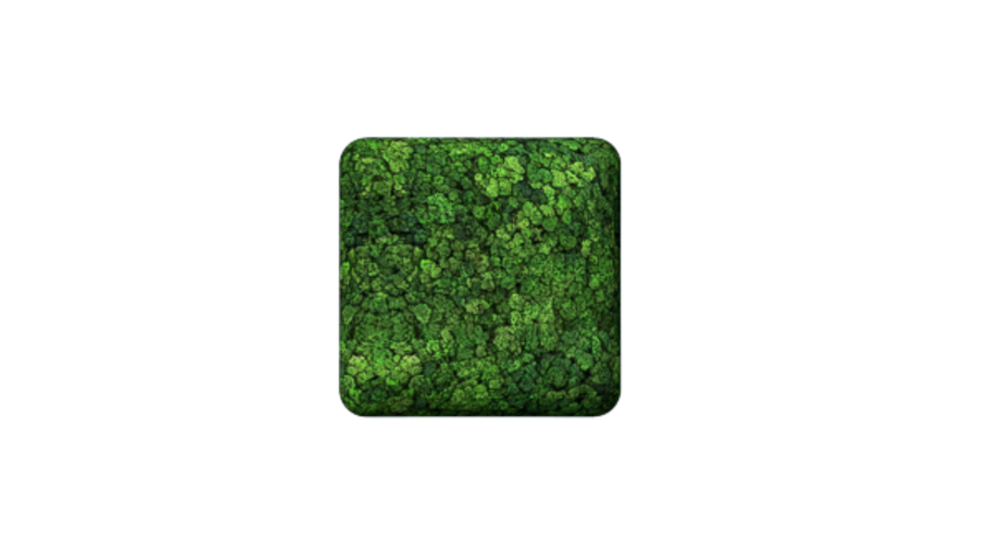 Convex Square Small