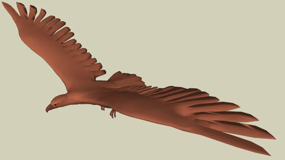 eagle
