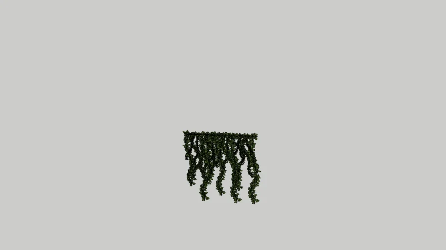 Planta_trepadora