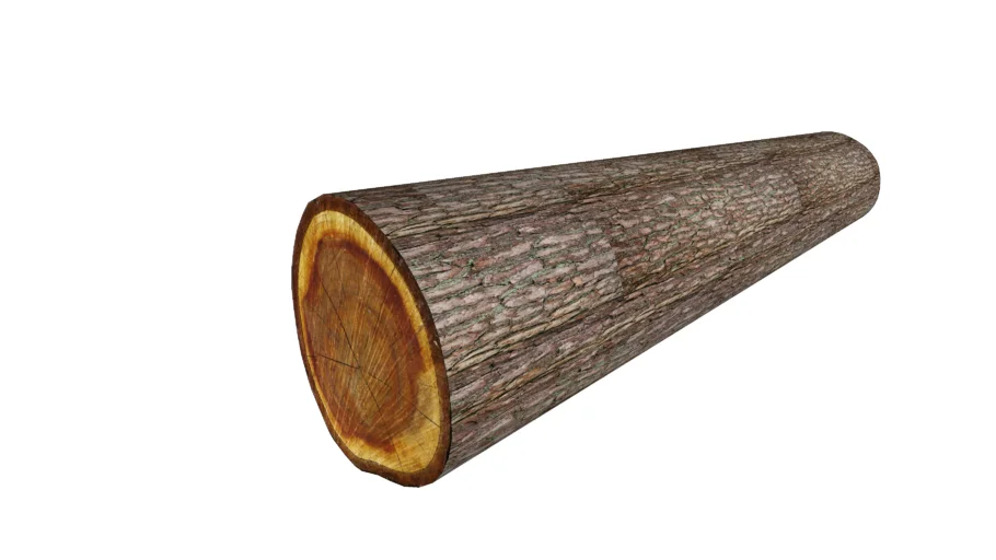 TRONCO MADERA