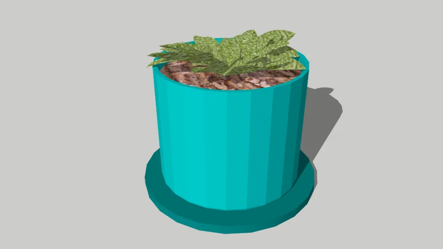 Pot Plant 3