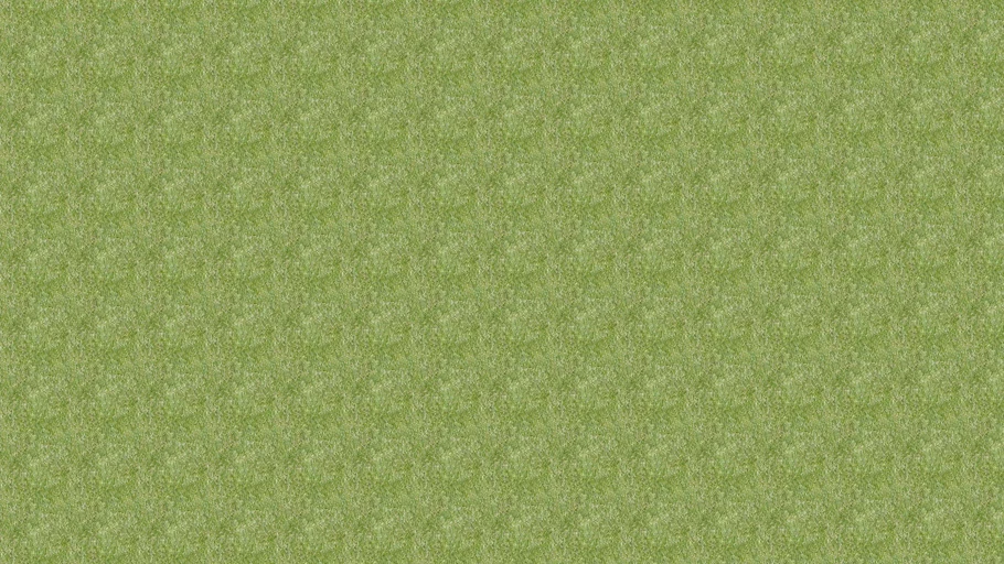 Natural Grass Texture