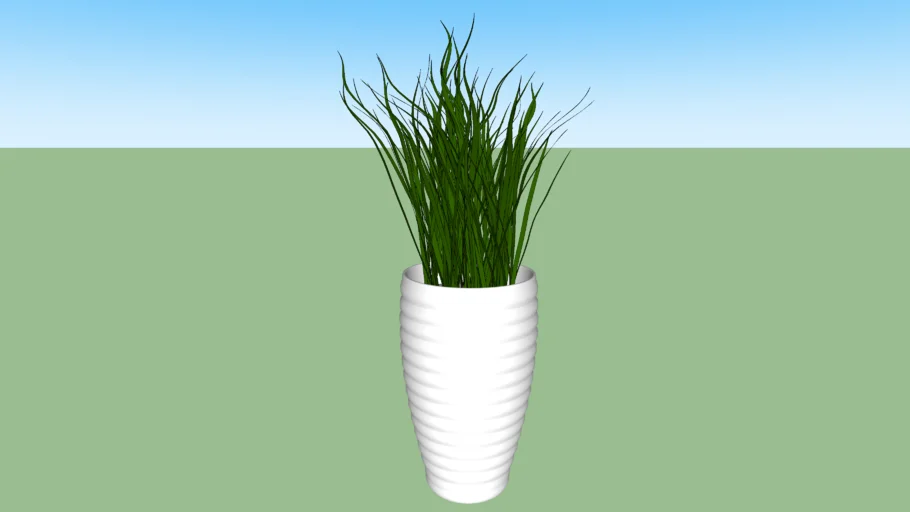 planta