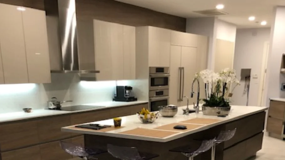 luxurious kitchen