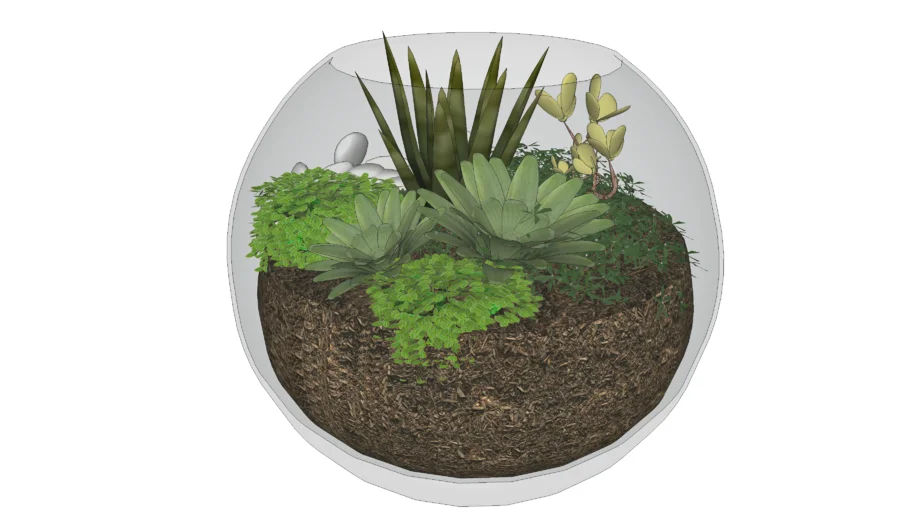 TERRÁRIO SUCULENTAS