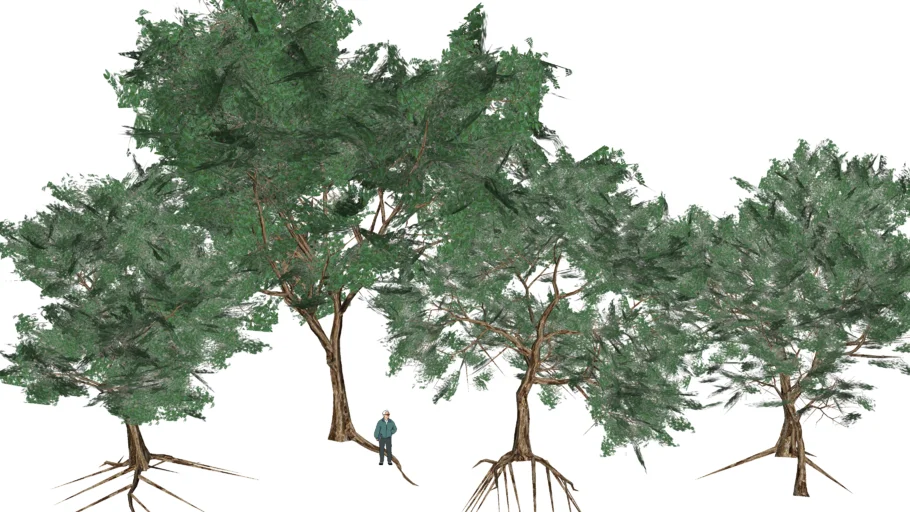 tree 3D ต้นจามจุรี