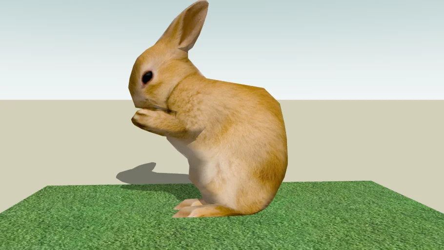 Rabbit