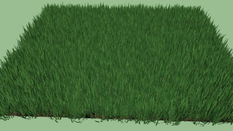 Grass
