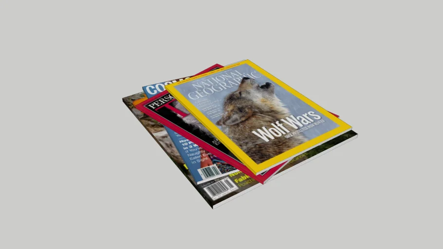 Magazine Stack | 3D Warehouse