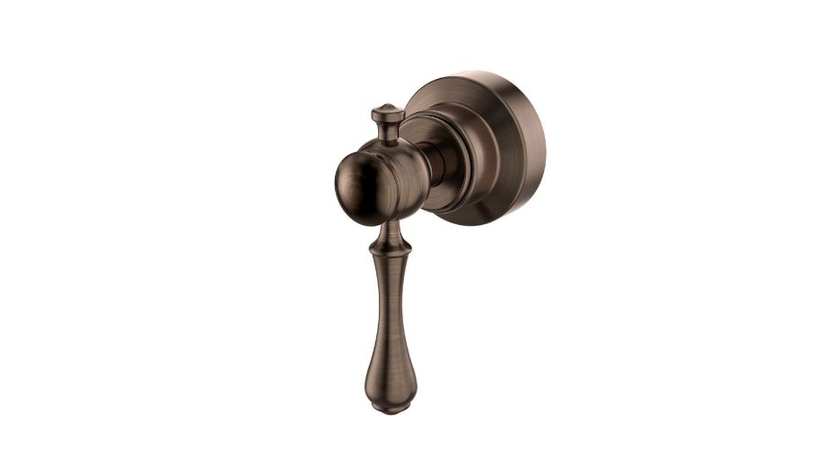 Acabamento de Registro St Claire Bronze Escovado BRACCI | B07026BW