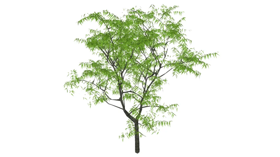 arbol 3D
