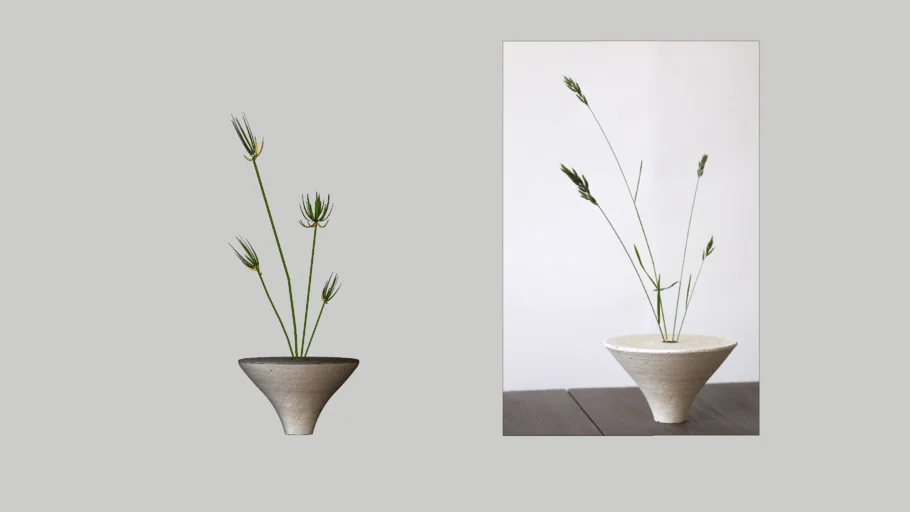 Minimalist Plant-1