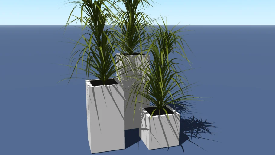 Pot with plant